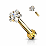 Piercing Tragus